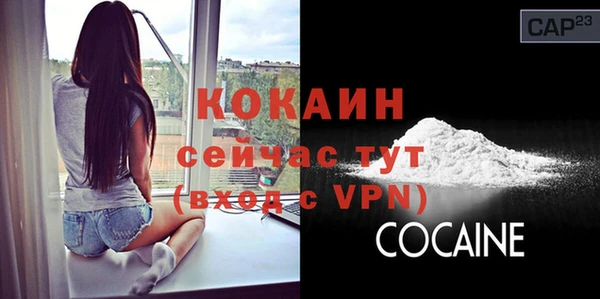гашиш Богданович