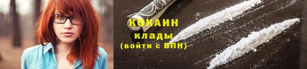 прущие грибы Пересвет