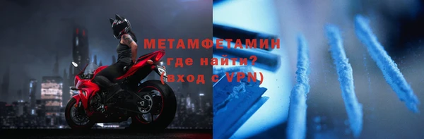 прущие грибы Пересвет