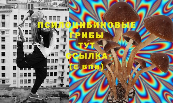 шишки Верхнеуральск