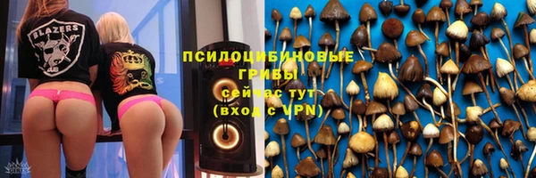 шишки Верхнеуральск